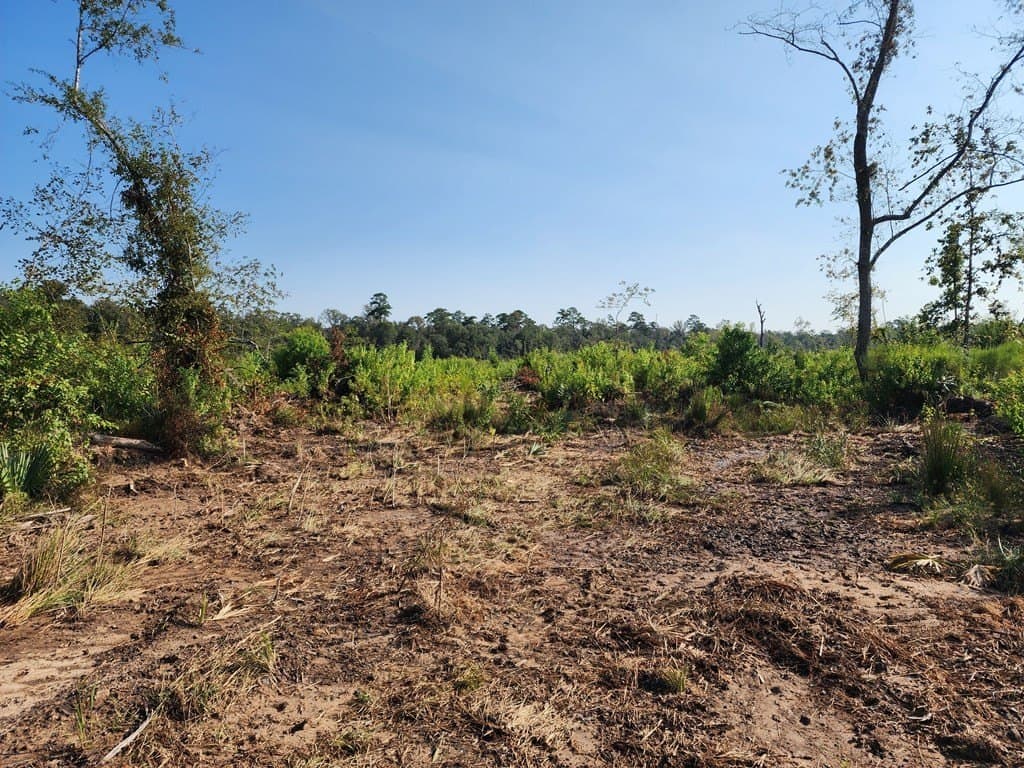 31.1 acres in Texas County - photo 5