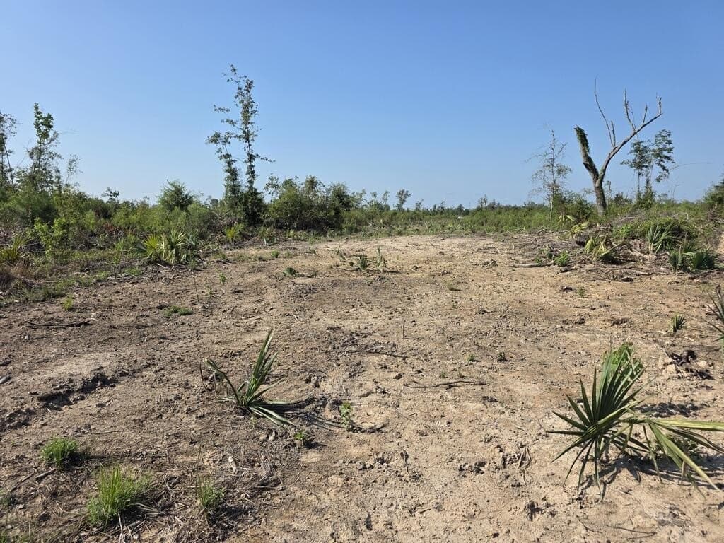31.1 acres in Texas County - photo 36
