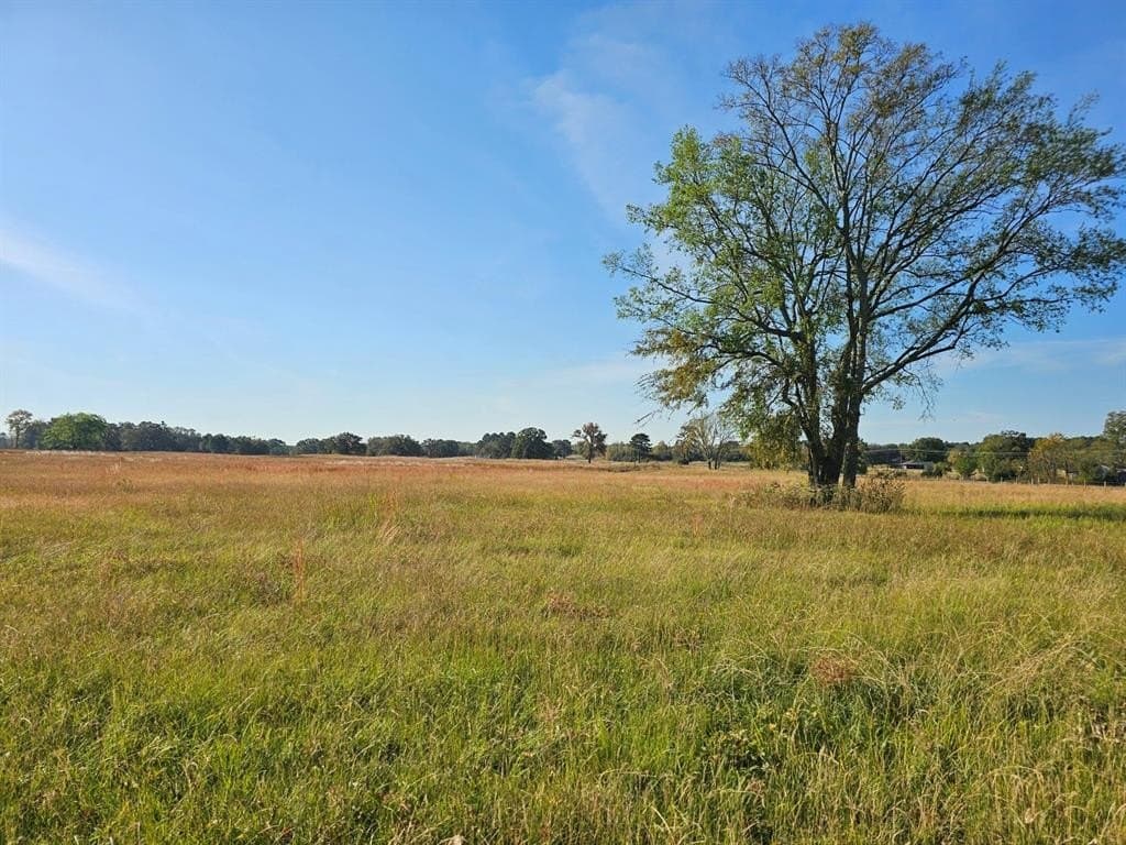 3.35 acres in Titus County