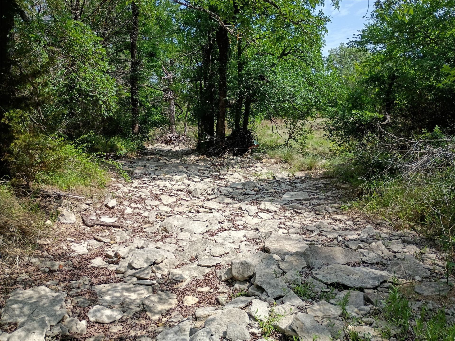 14.52 acres in Hamilton County - photo 13