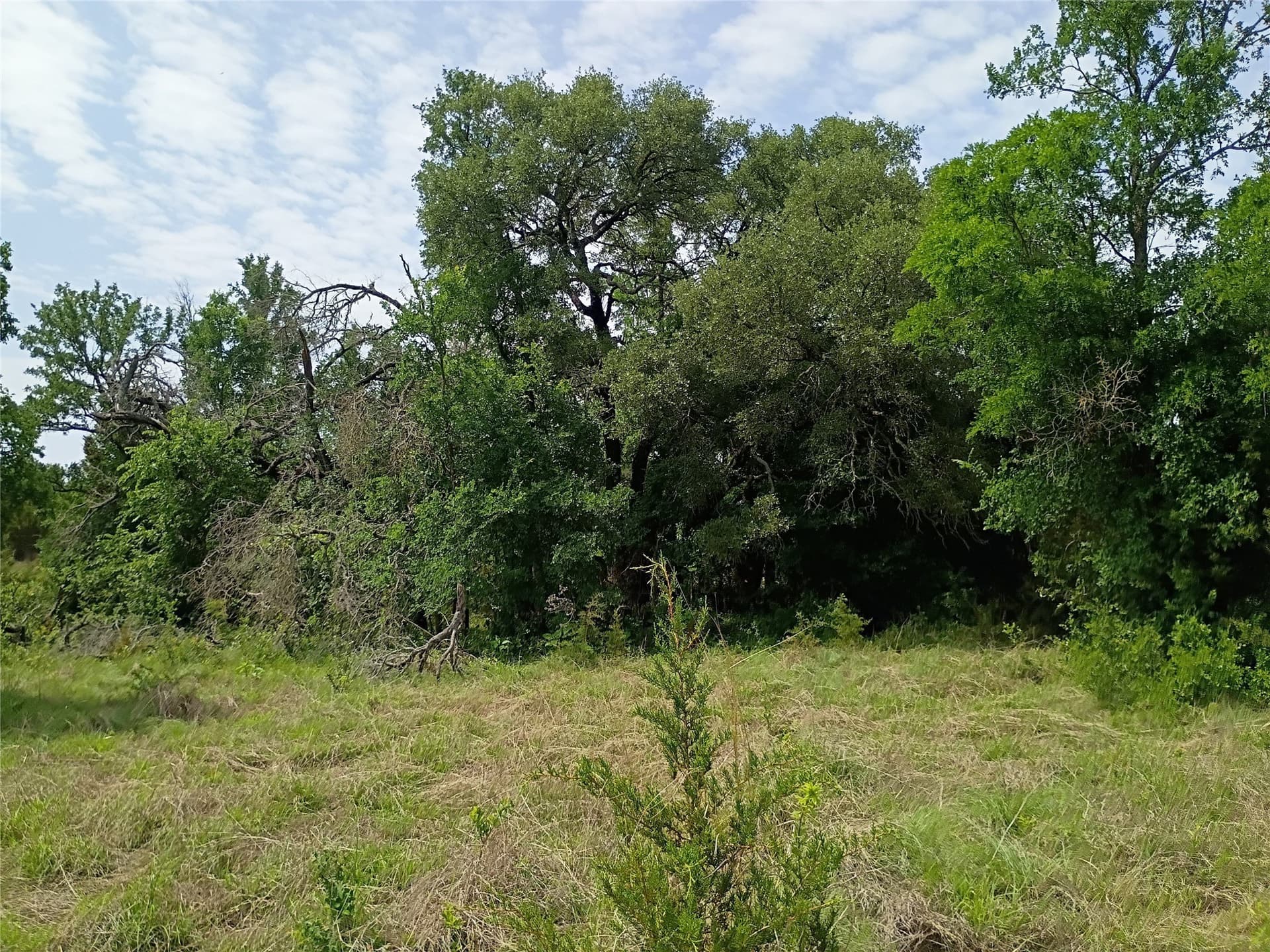 14.52 acres in Hamilton County - photo 14