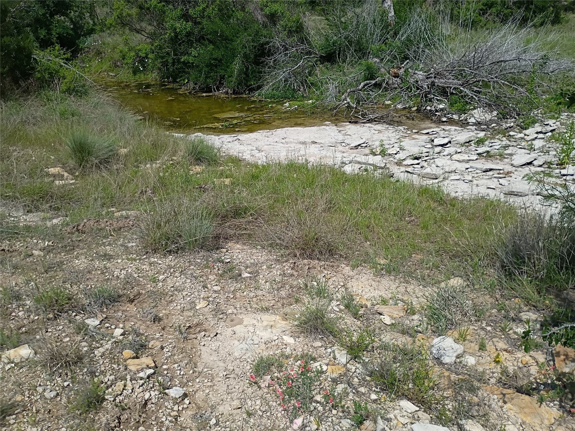 14.52 acres in Hamilton County - photo 12