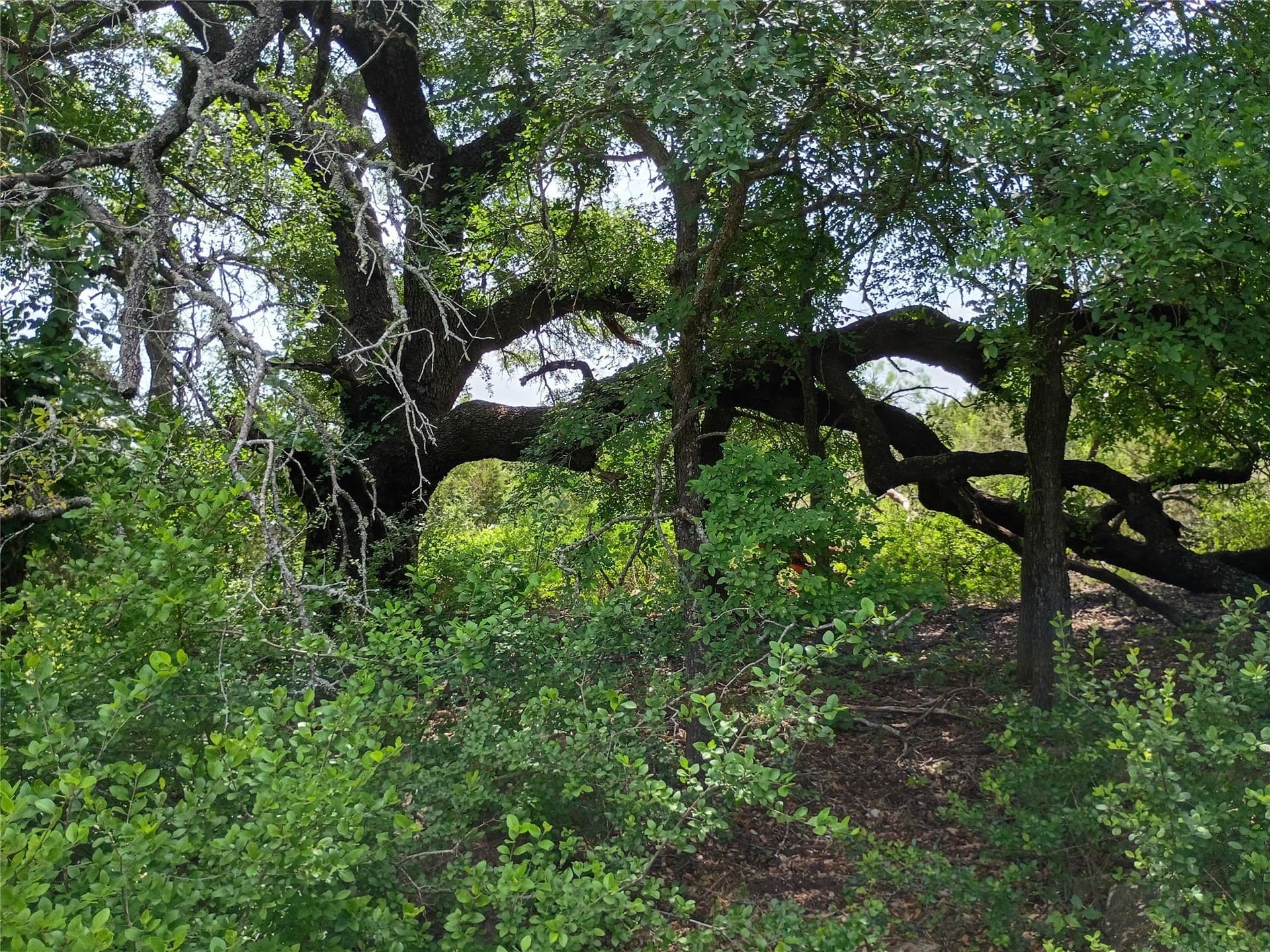 14.52 acres in Hamilton County - photo 15