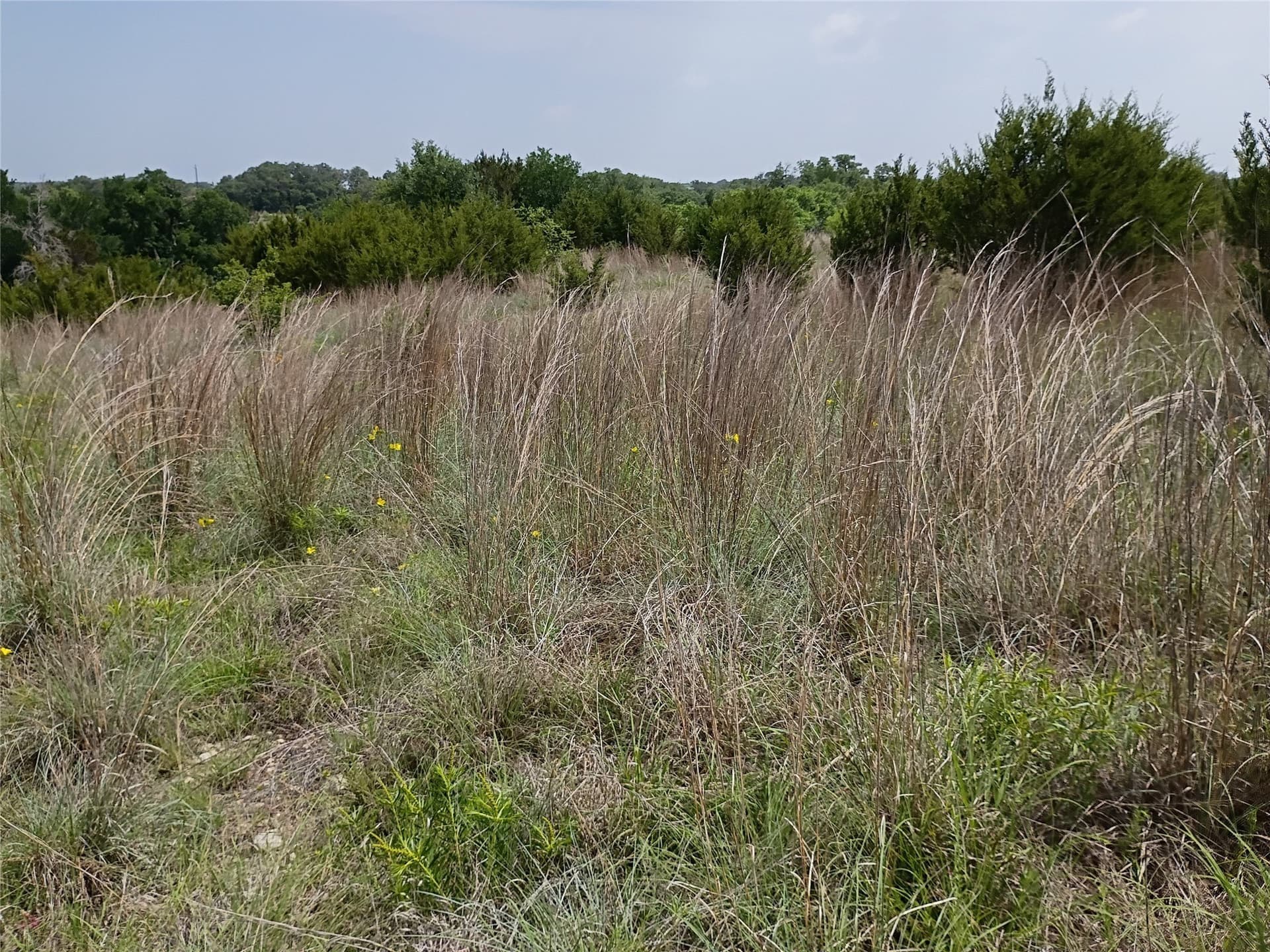 14.52 acres in Hamilton County - photo 10