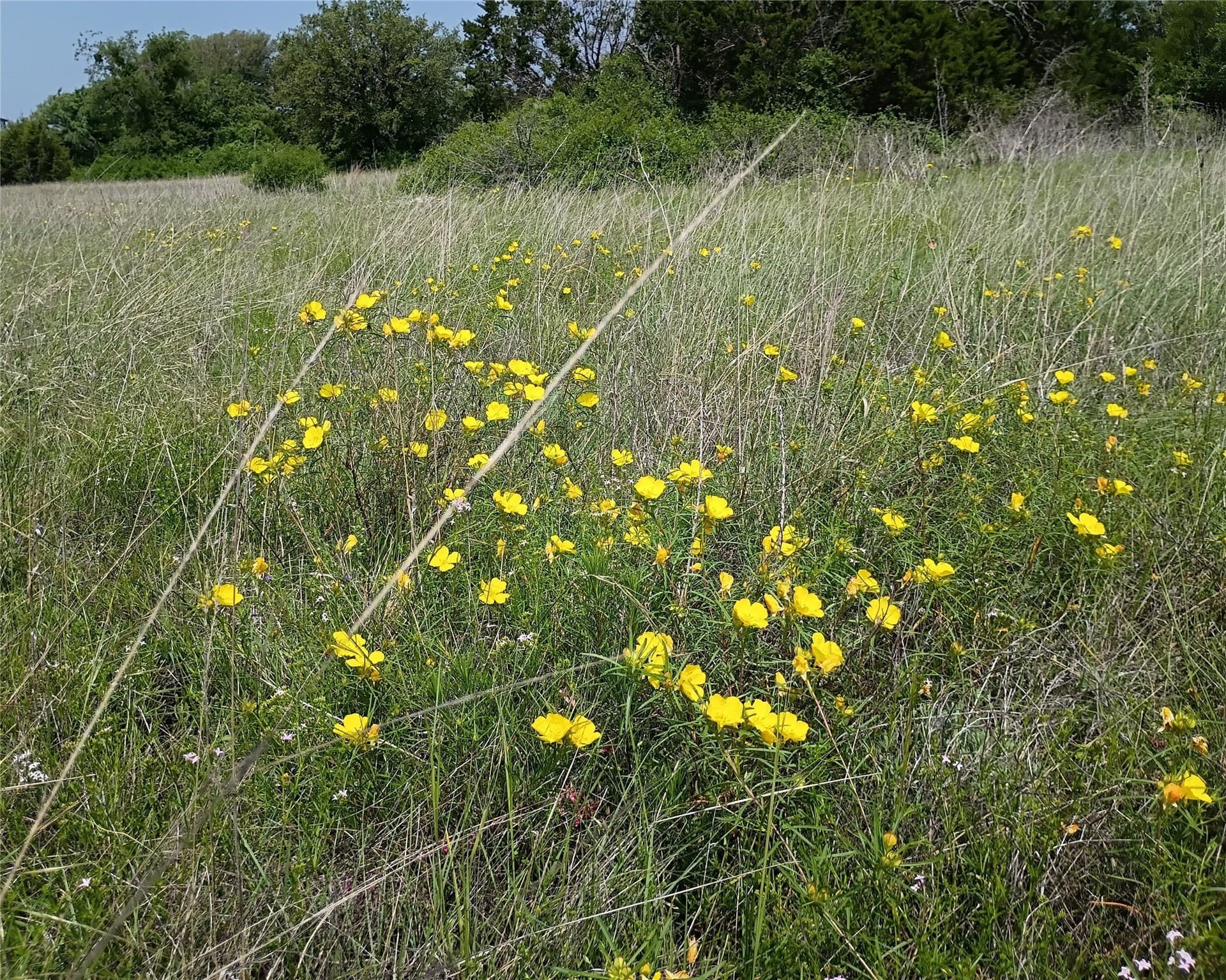 14.52 acres in Hamilton County - photo 16