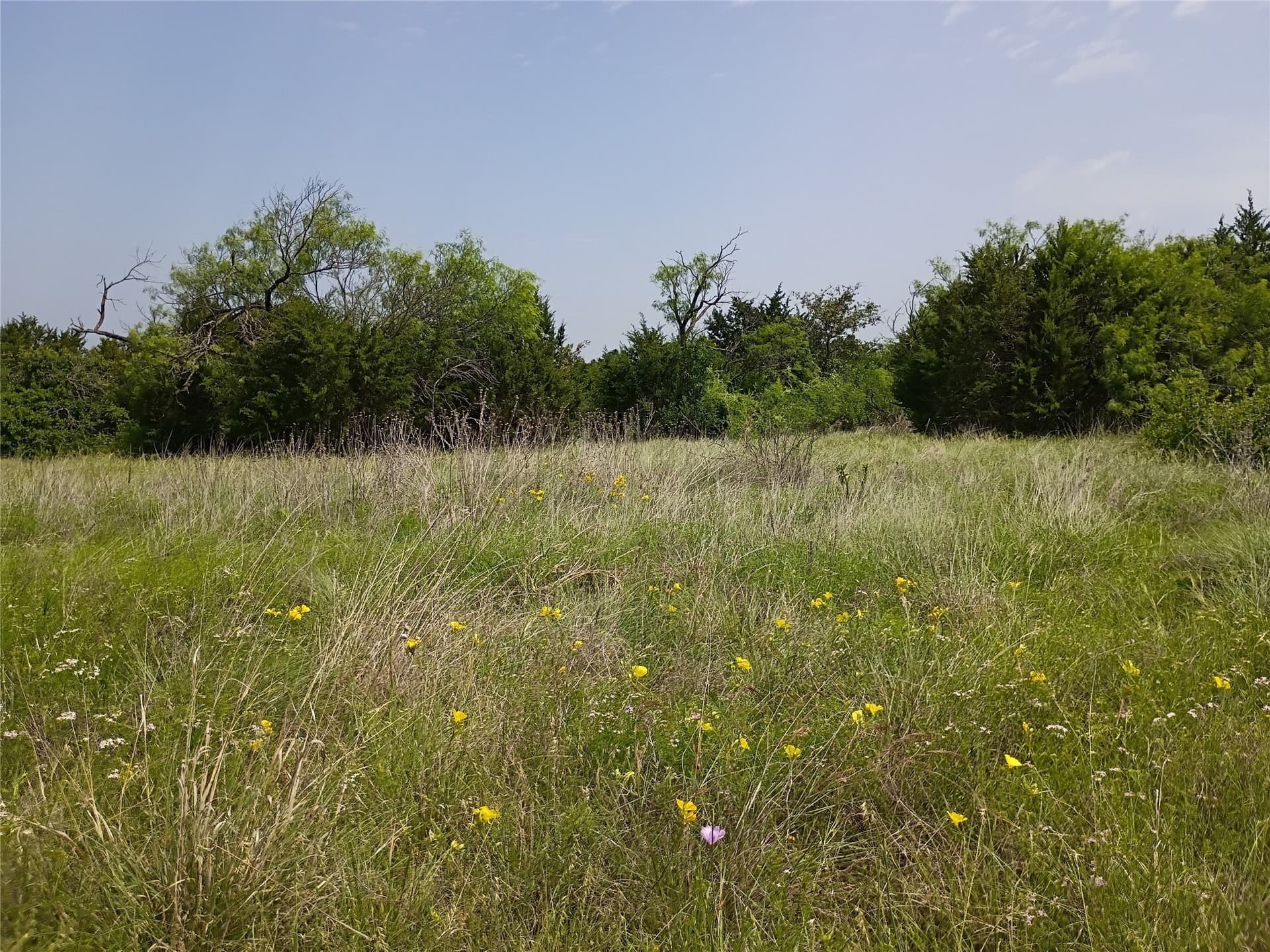 14.52 acres in Hamilton County - photo 6