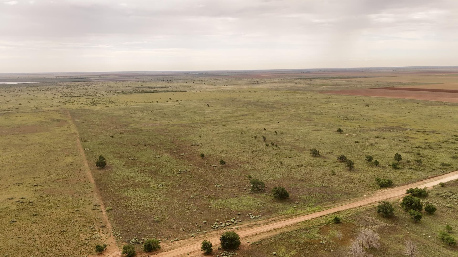 14.34 acres in Terry County featured view