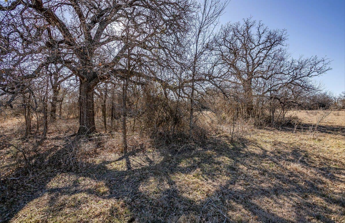 15.01 acres in Wise County - photo 10