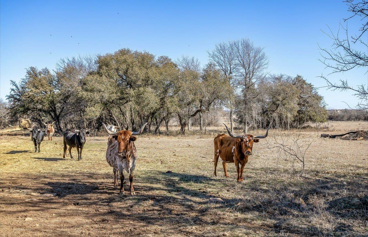15.01 acres in Wise County - photo 7