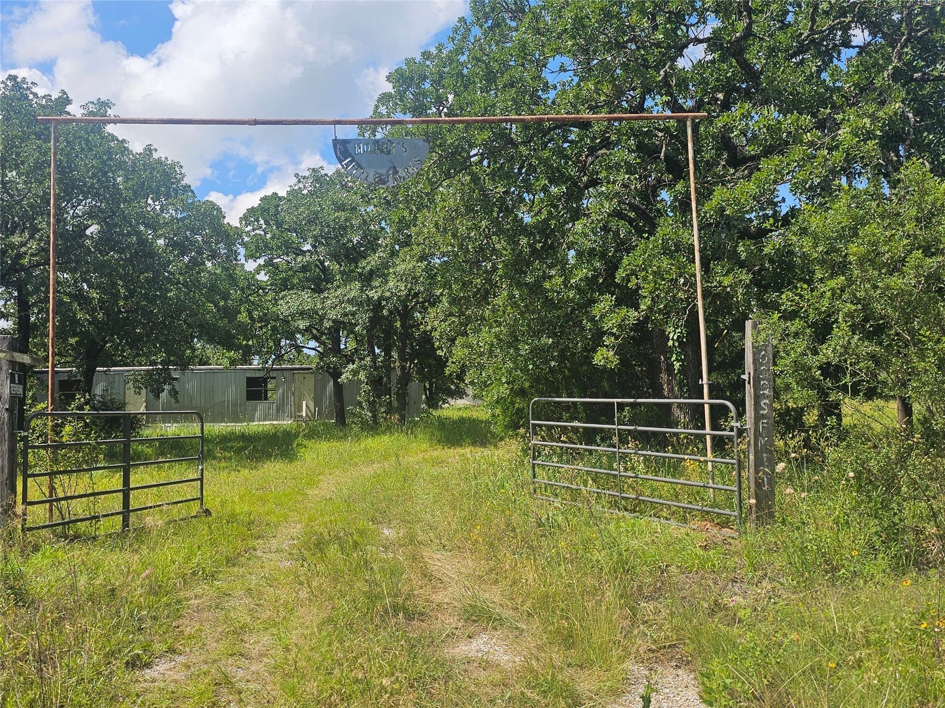 3.28 acres in Wise County gallery image 2