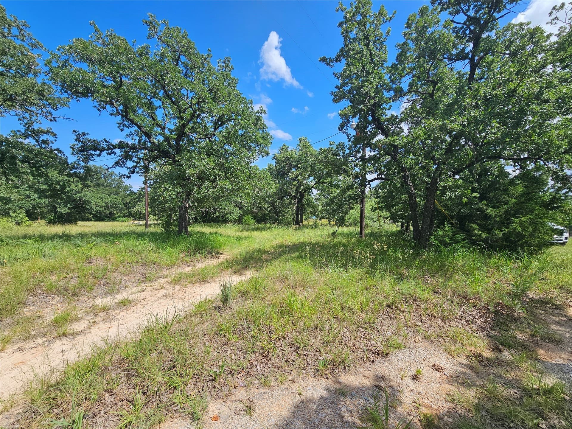 3.28 acres in Wise County gallery image 4