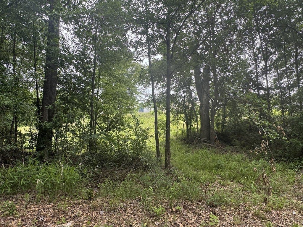 19.43 acres in Texas County - photo 28