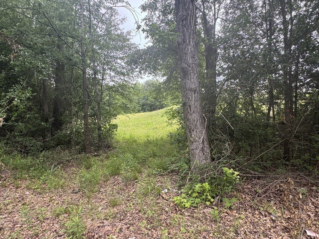 19.43 acres in Texas County - photo 29
