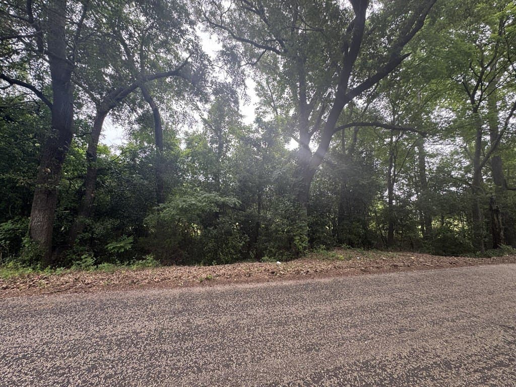 19.43 acres in Texas County - photo 26