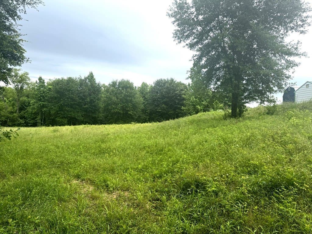 19.43 acres in Texas County - photo 30