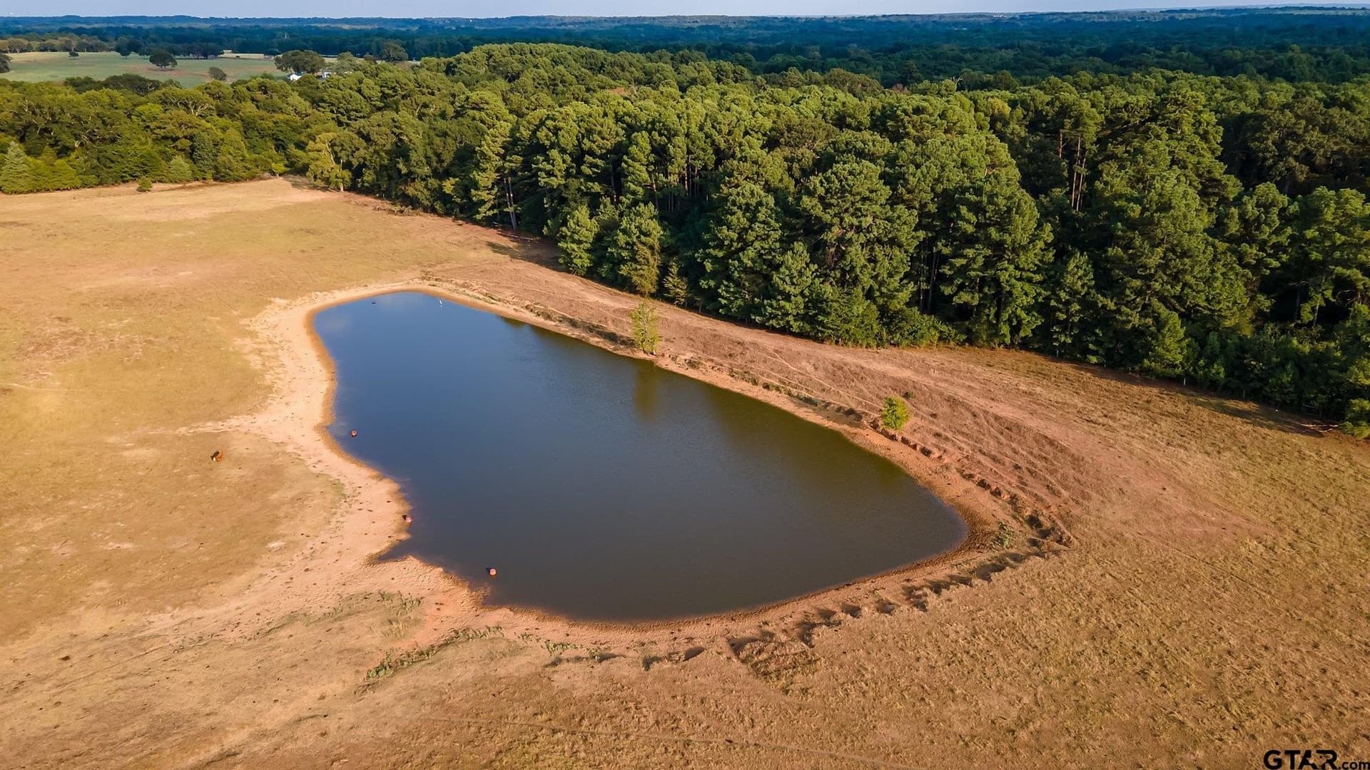 115 acres in Smith County - photo 5