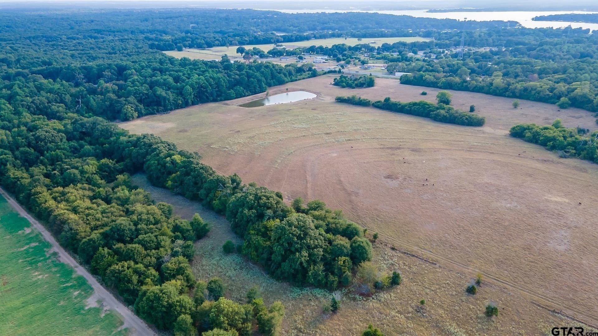 115 acres in Smith County - photo 4