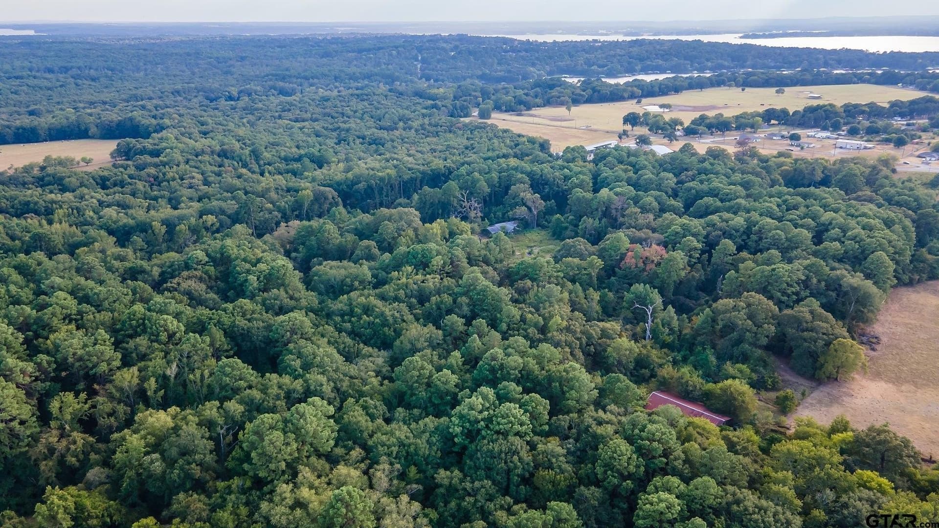 115 acres in Smith County - photo 7