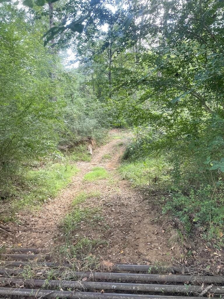 62.5 acres in Texas County - photo 17