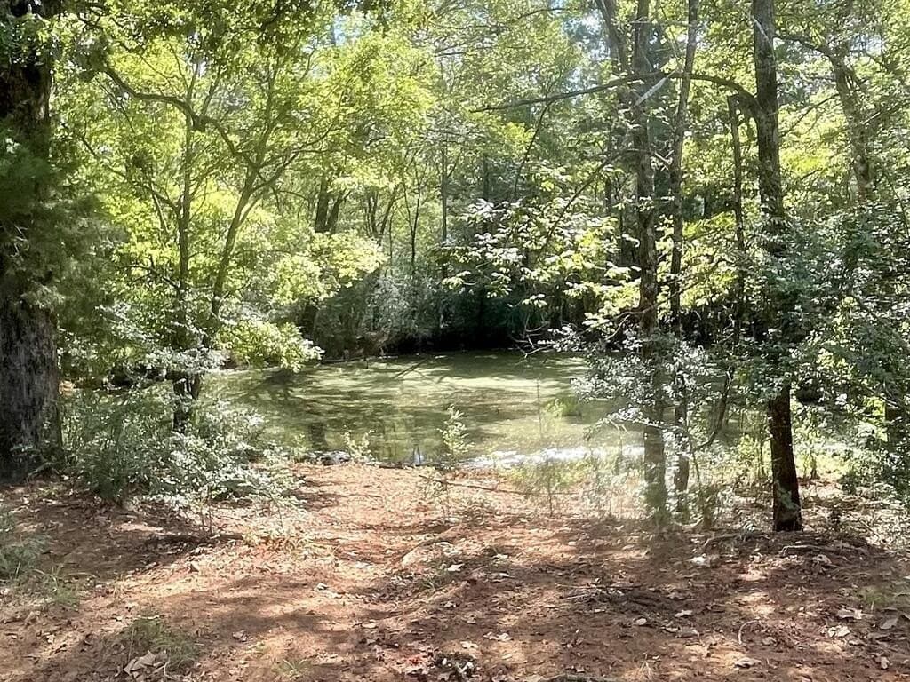 62.5 acres in Texas County - photo 3
