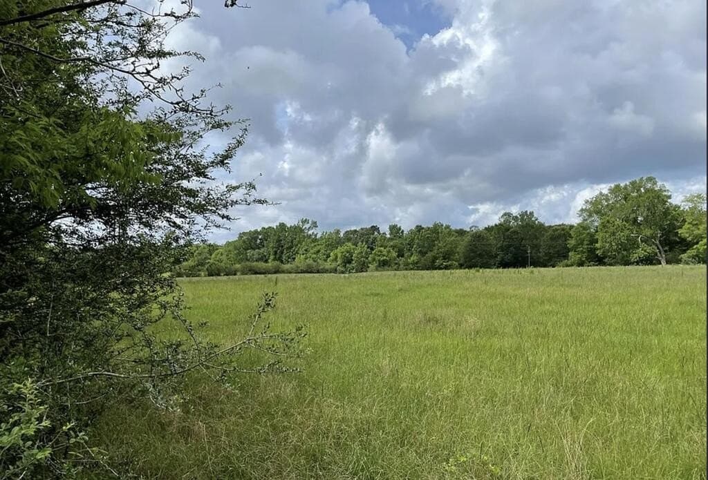 62.5 acres in Texas County - photo 2