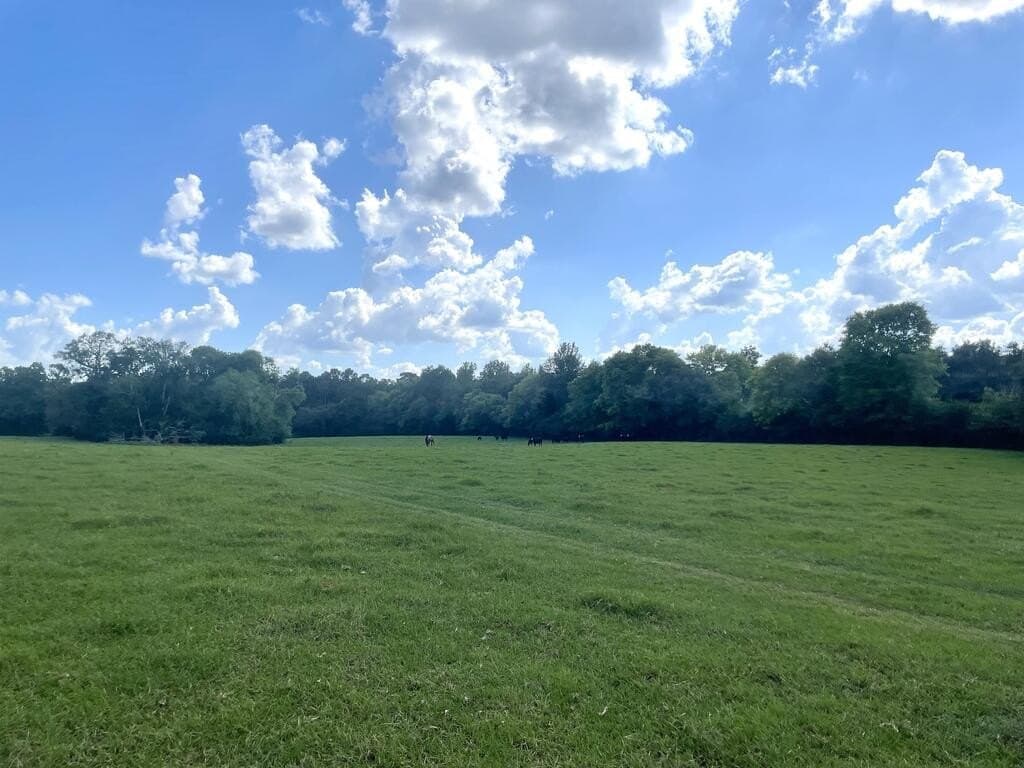 62.5 acres in Texas County