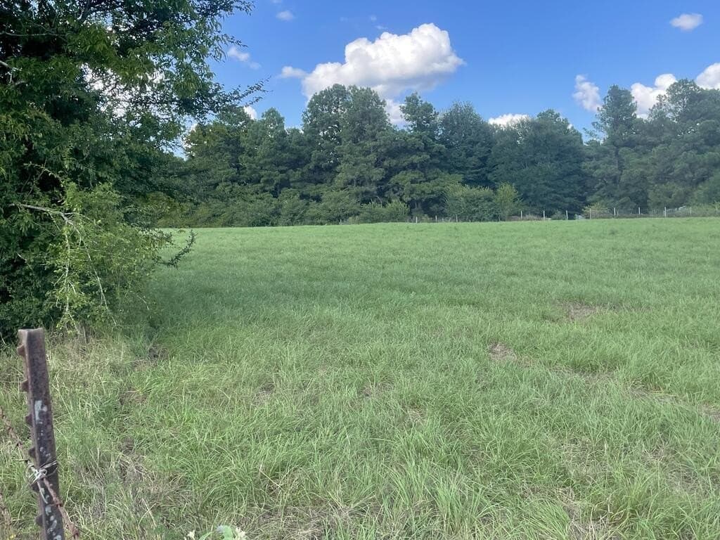 62.5 acres in Texas County - photo 5