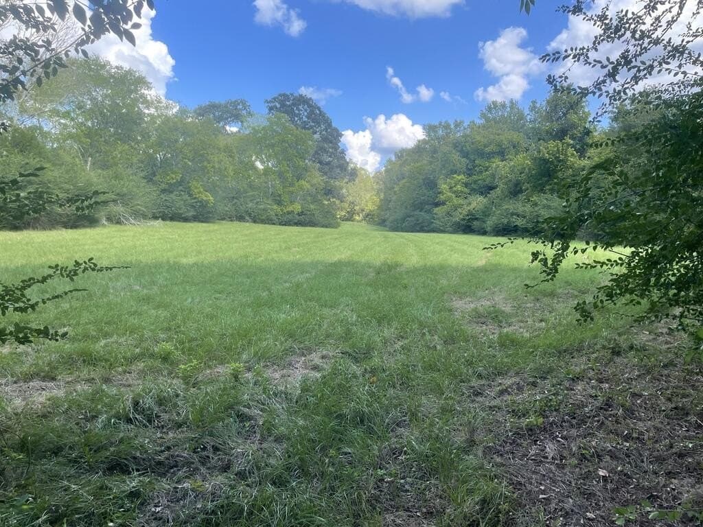 62.5 acres in Texas County - photo 6