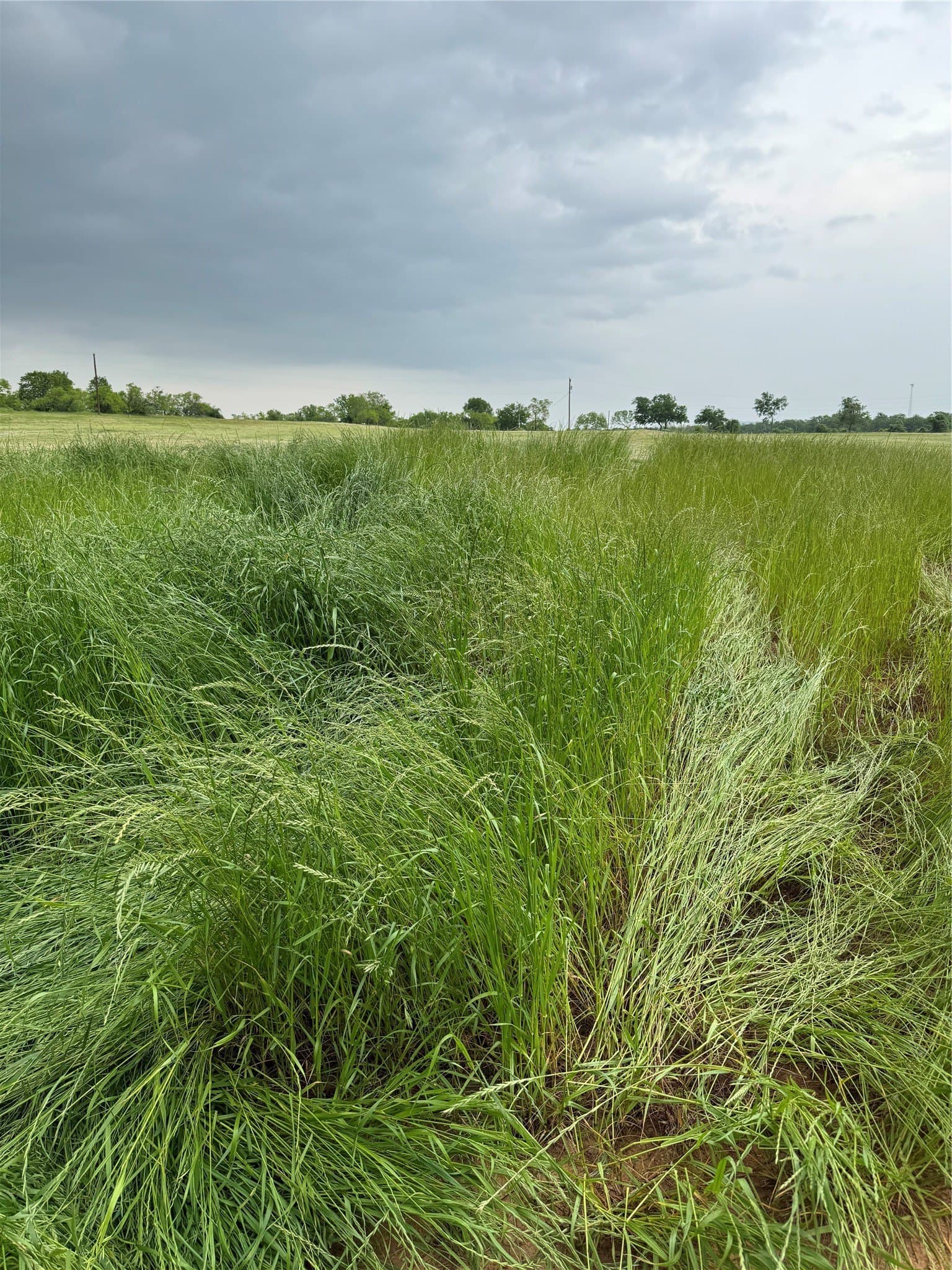 2.62 acres in Wise County gallery image 3