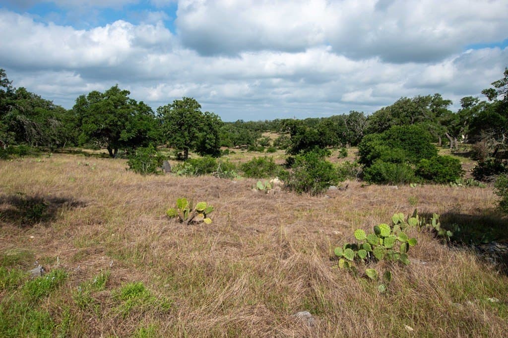 4.13 acres in Gillespie County featured view