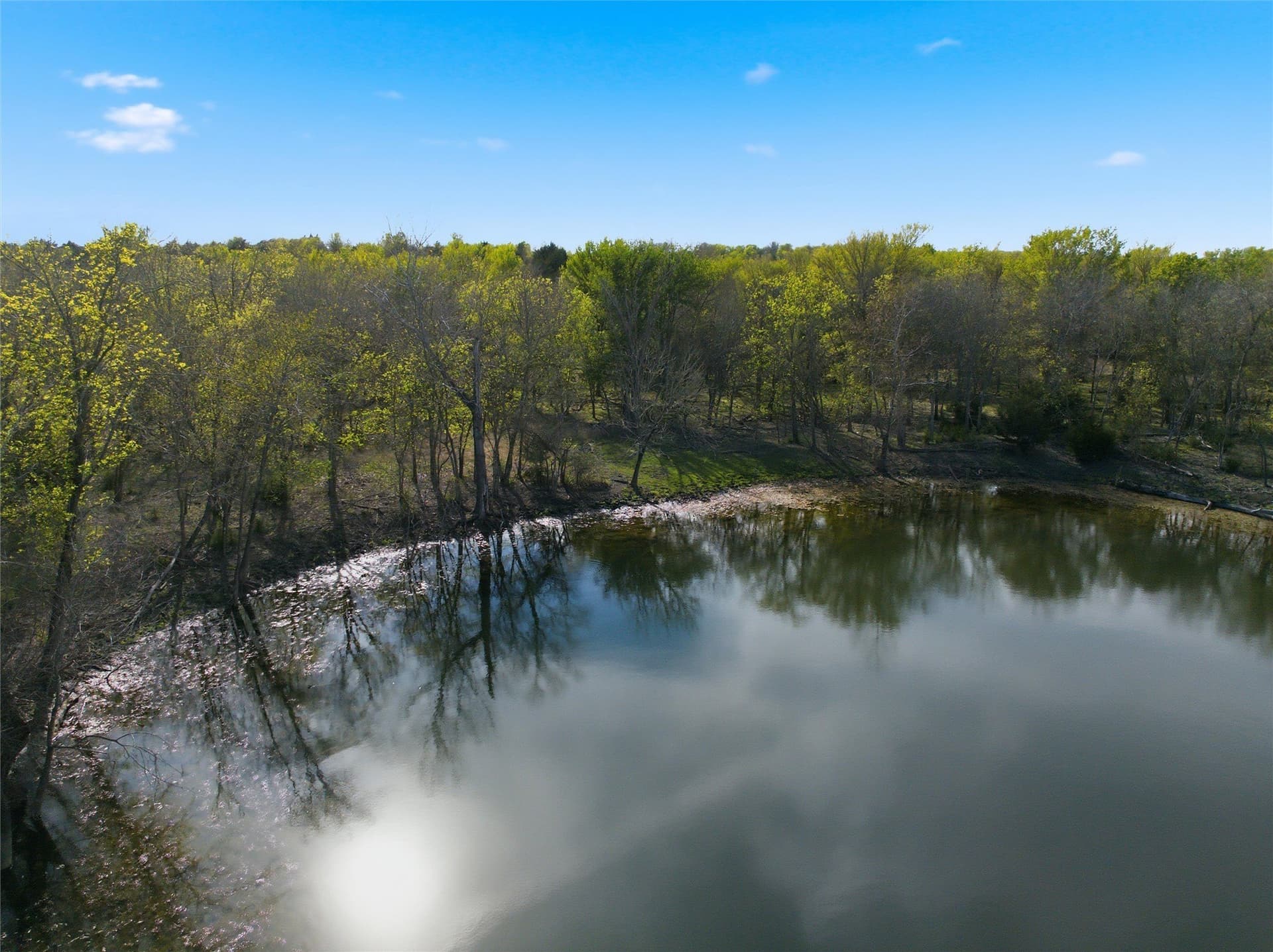 66.11 acres in Falls County - photo 10