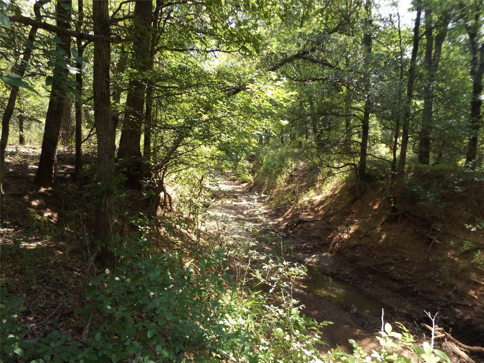 23 acres in Young County - photo 8