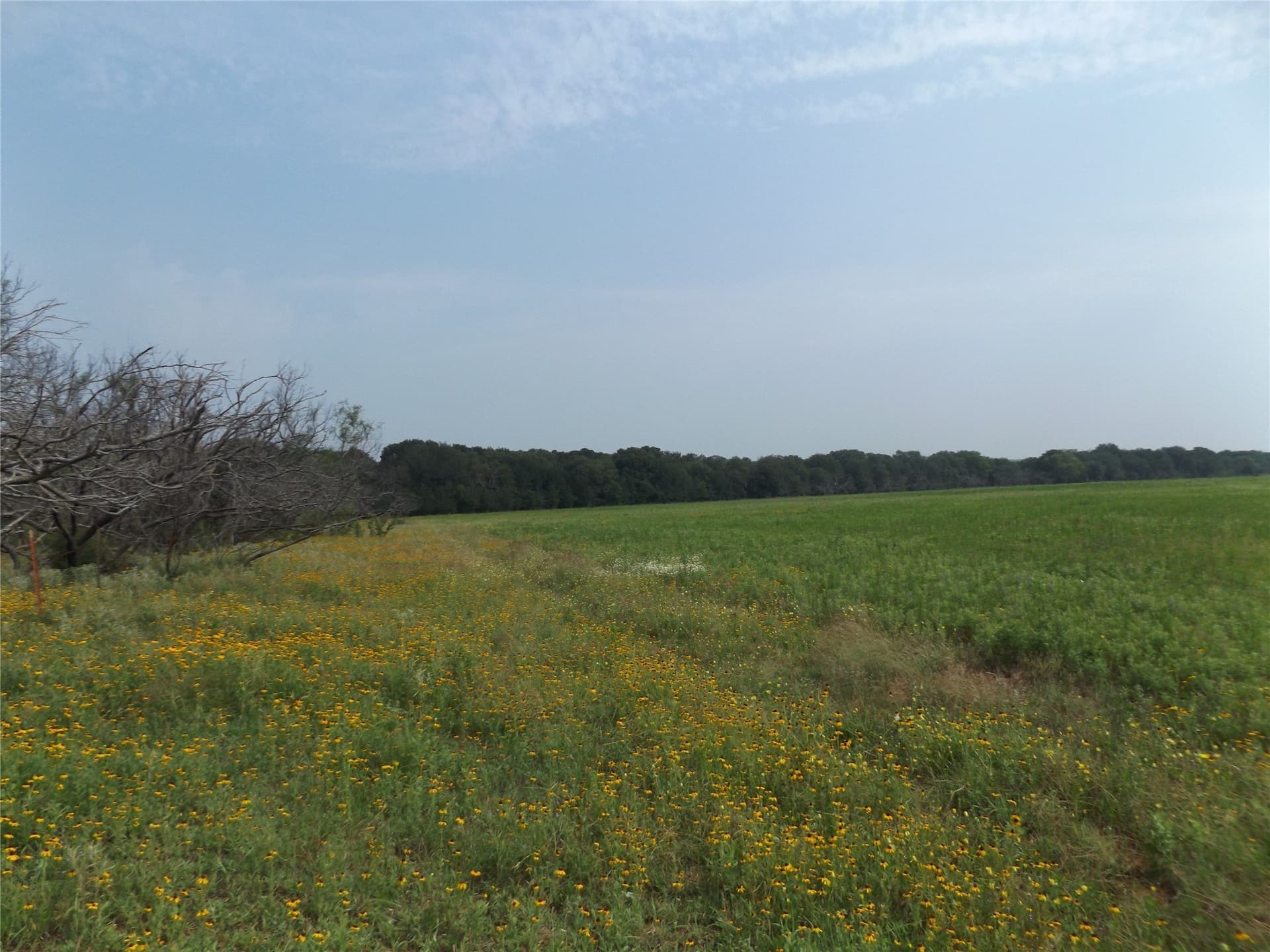 23 acres in Young County - photo 6