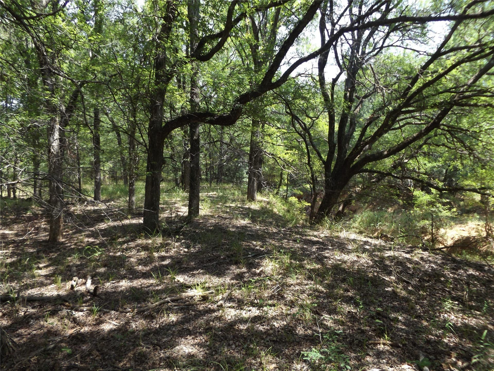 23 acres in Young County - photo 7
