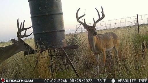 320 acres in Hall County