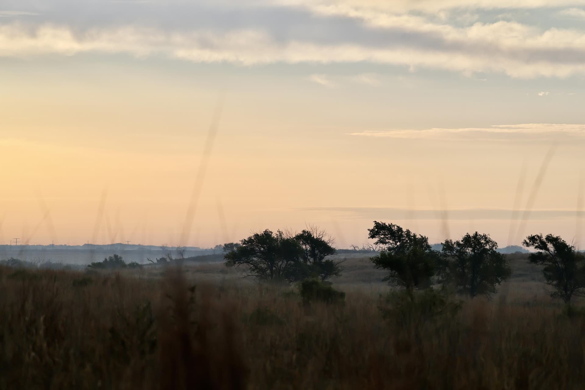 320 acres in Hall County gallery image 3