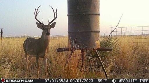 320 acres in Hall County gallery image 2