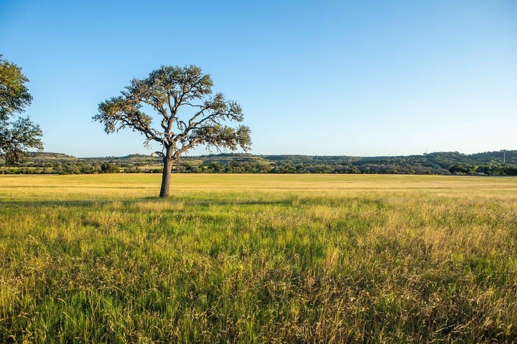 47 acres in Kerr County - photo 11