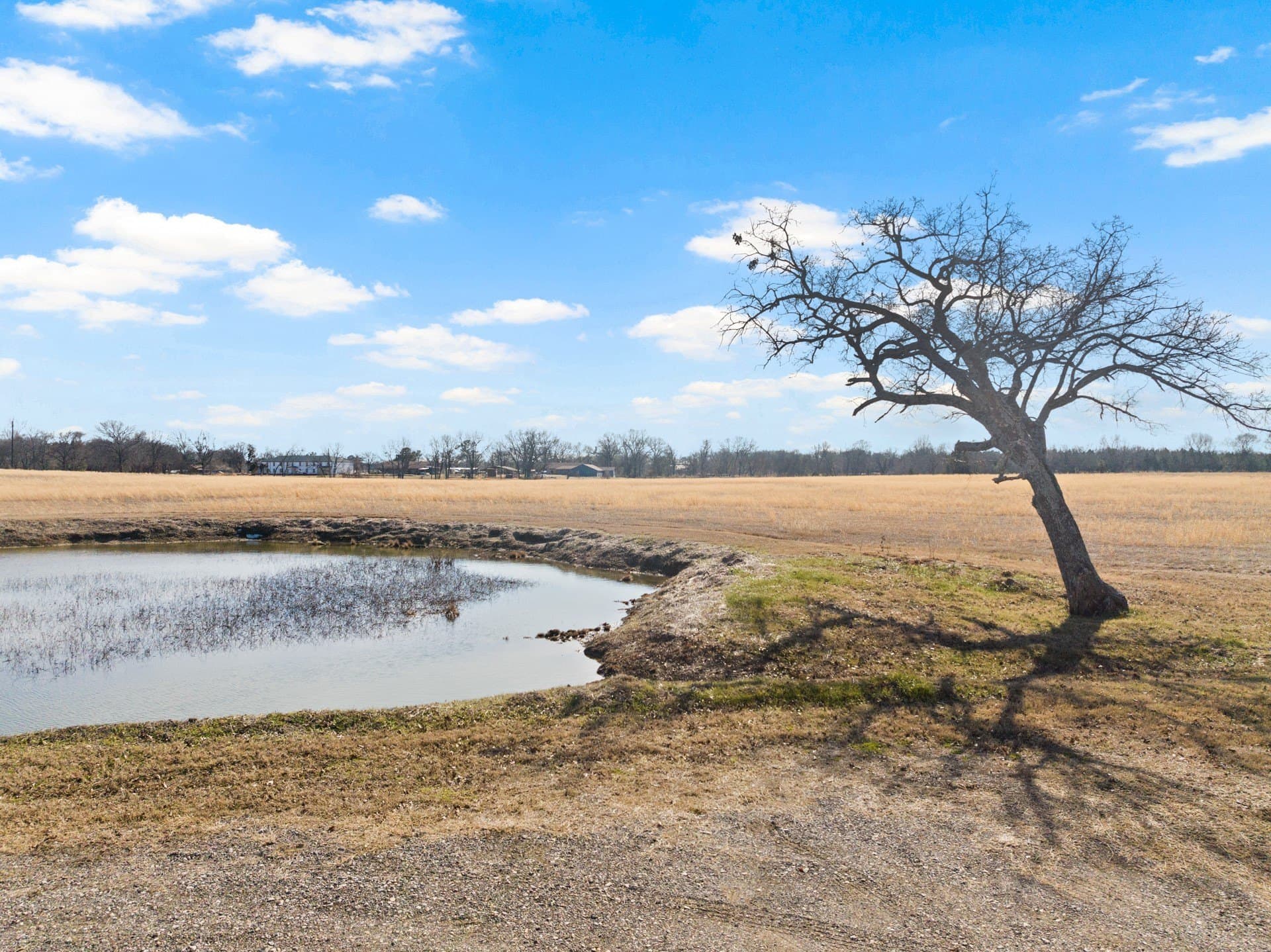 12 acres in Hopkins County - photo 35