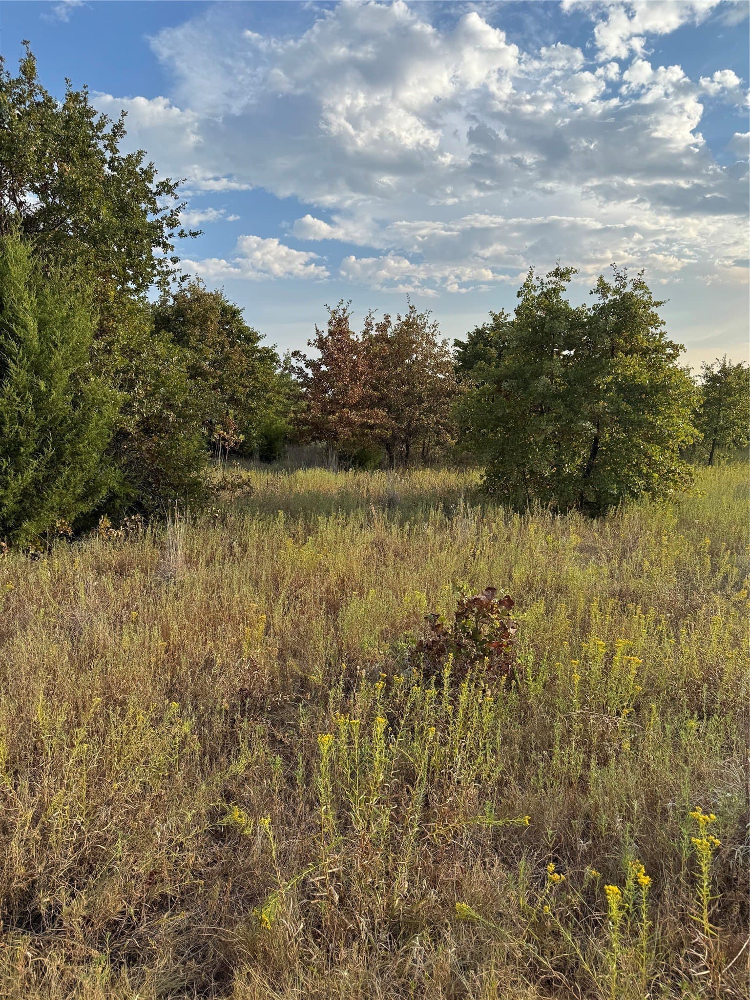 9.61 acres in Parker County - photo 6