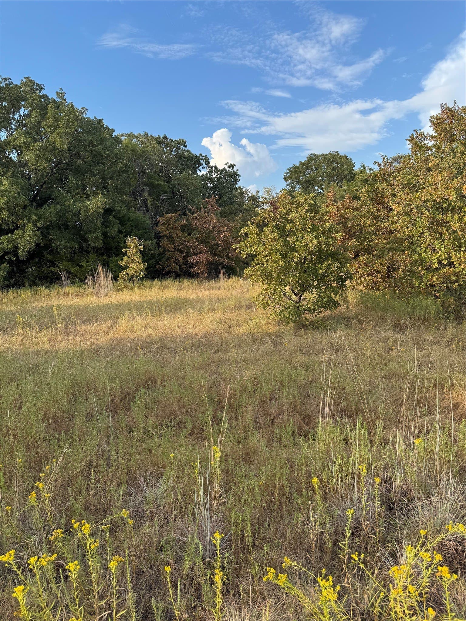 9.61 acres in Parker County - photo 3