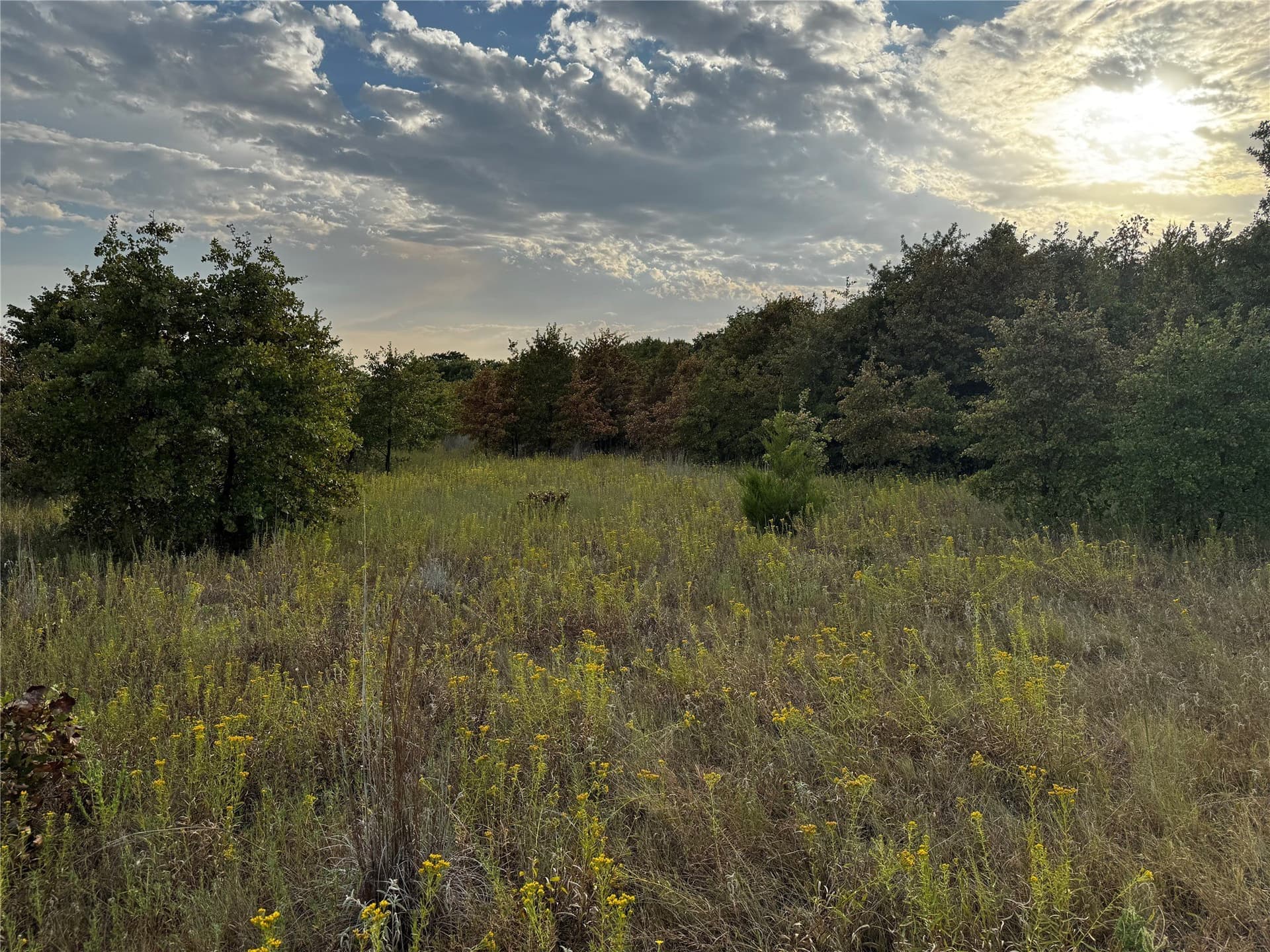 9.61 acres in Parker County