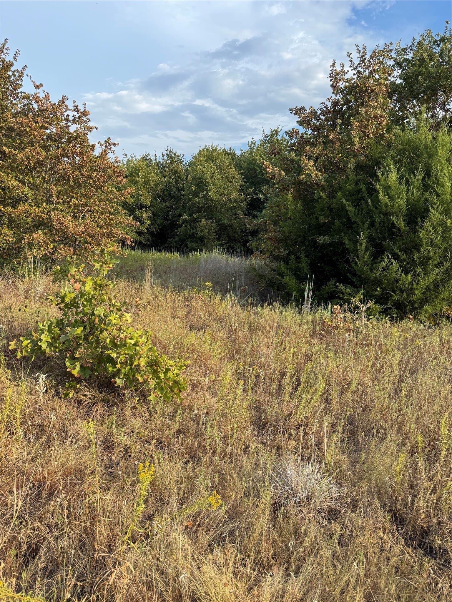 9.61 acres in Parker County - photo 5