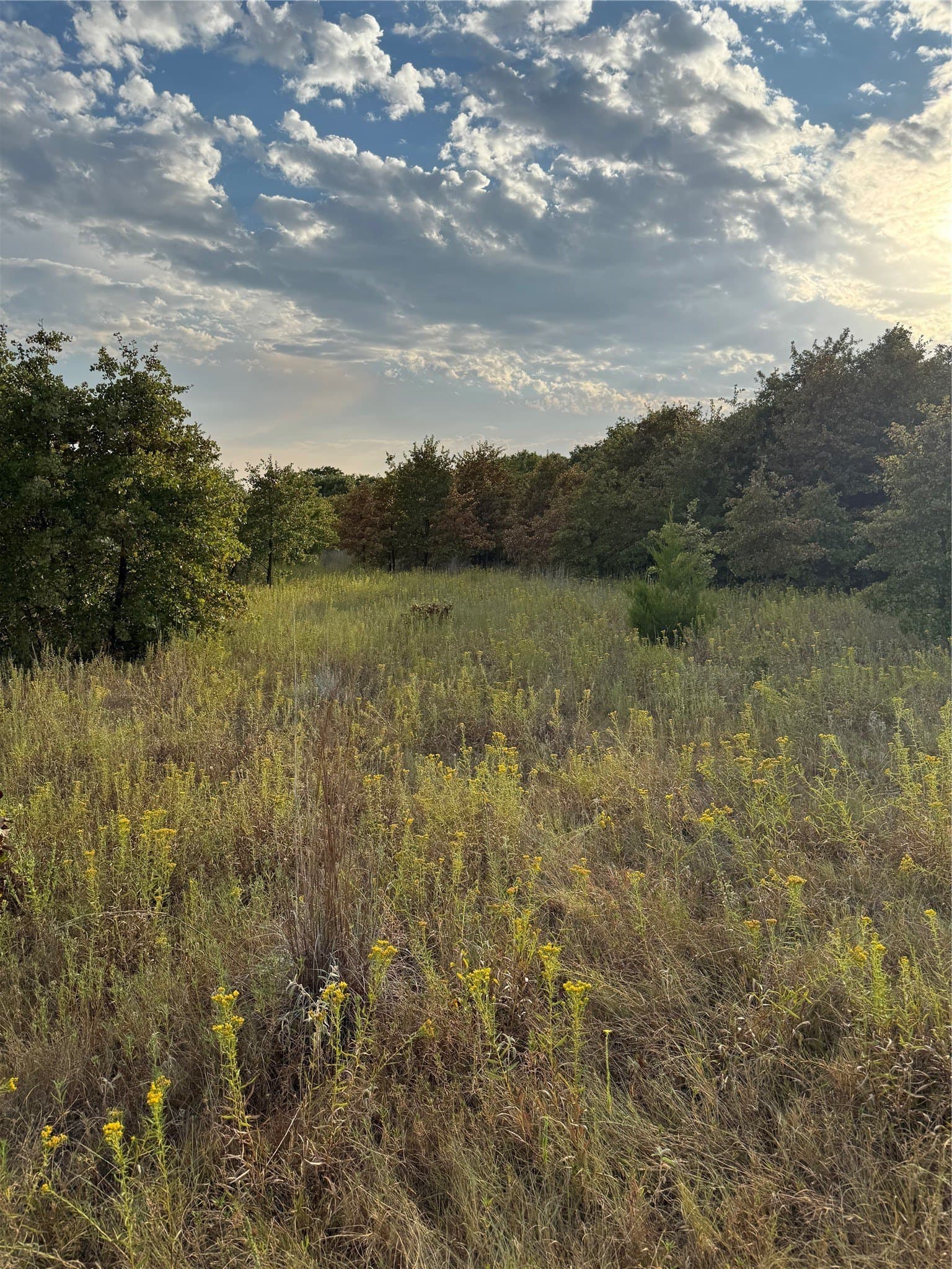 9.61 acres in Parker County - photo 7