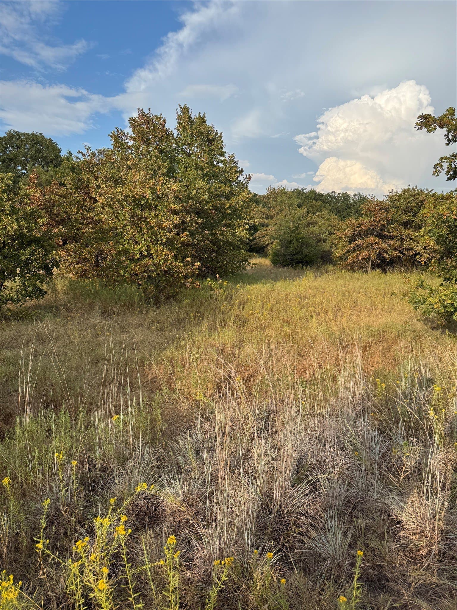 9.61 acres in Parker County - photo 4