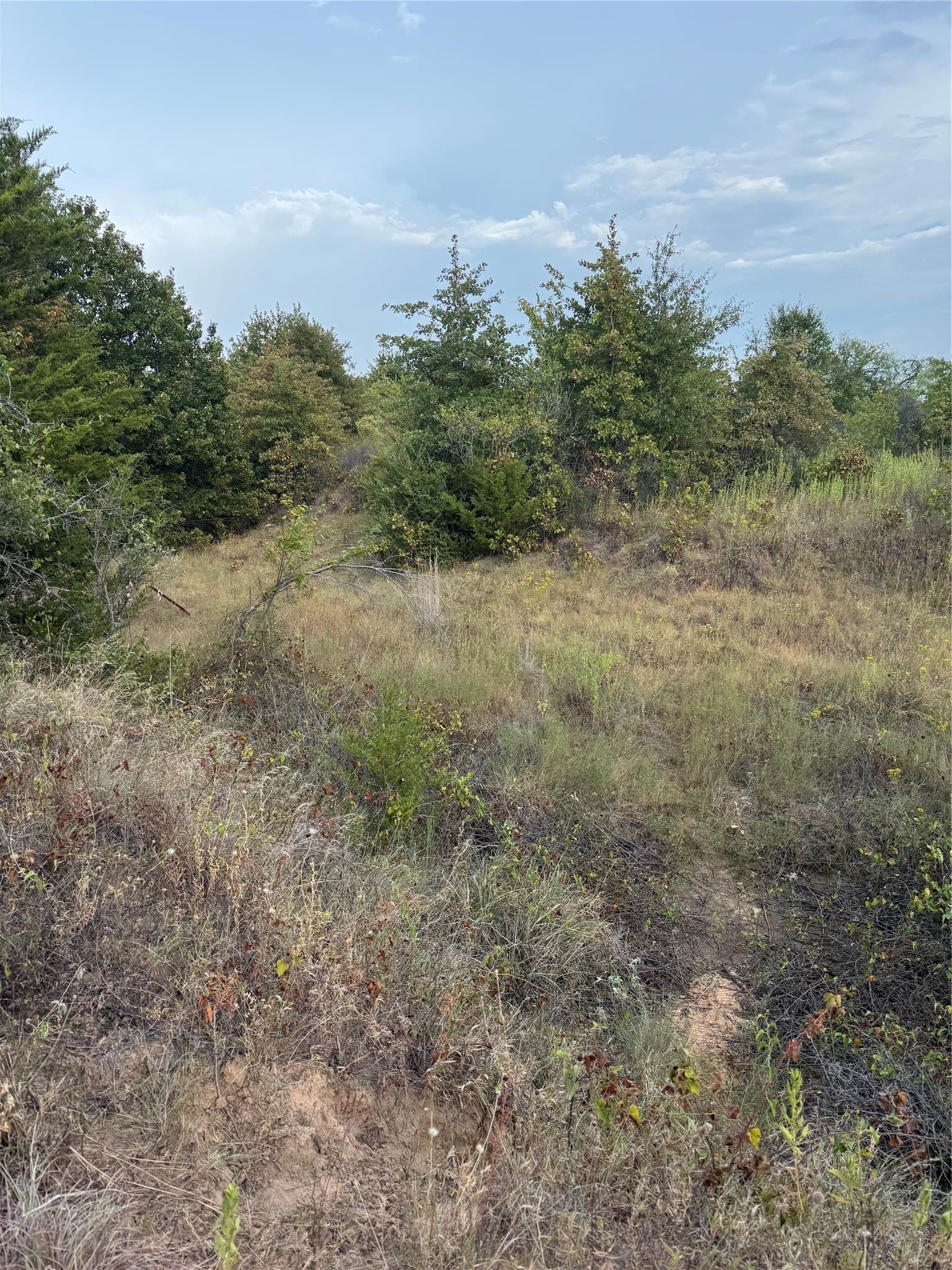 9.61 acres in Parker County - photo 8