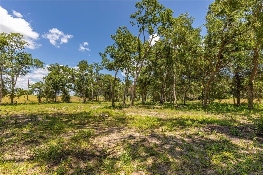 8.74 acres in AUSTIN County - photo 12