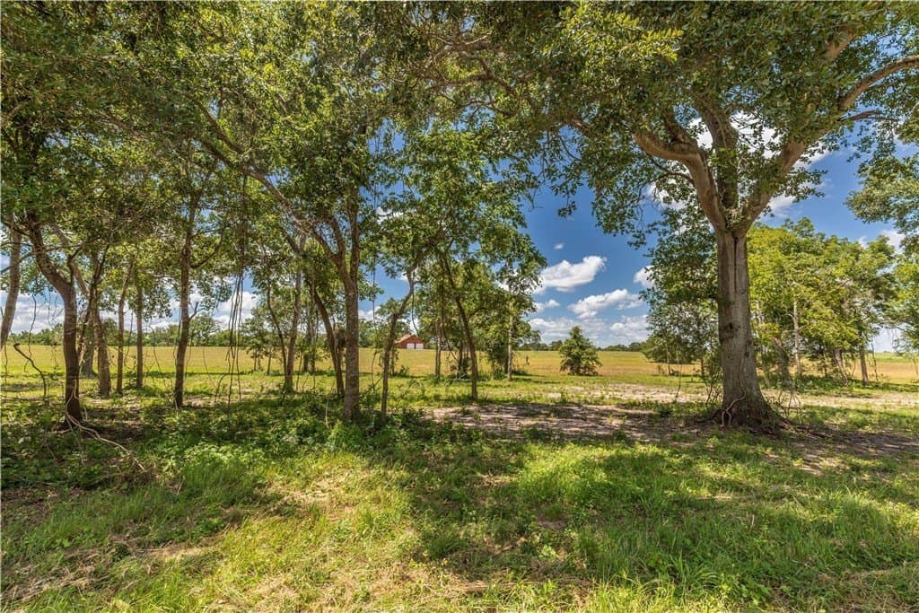 8.74 acres in AUSTIN County - photo 14
