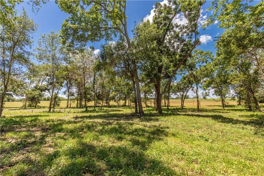 8.74 acres in AUSTIN County - photo 3