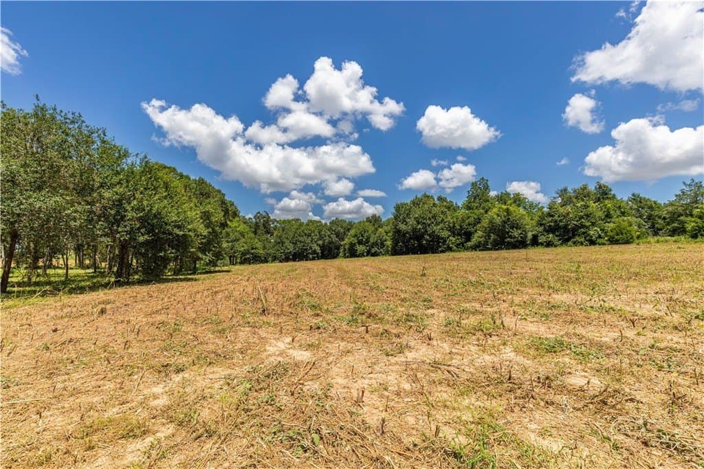 8.74 acres in AUSTIN County - photo 8